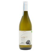 Pietra di Pinot Grigio Delle Venezie D.O.C. Organic, 2022